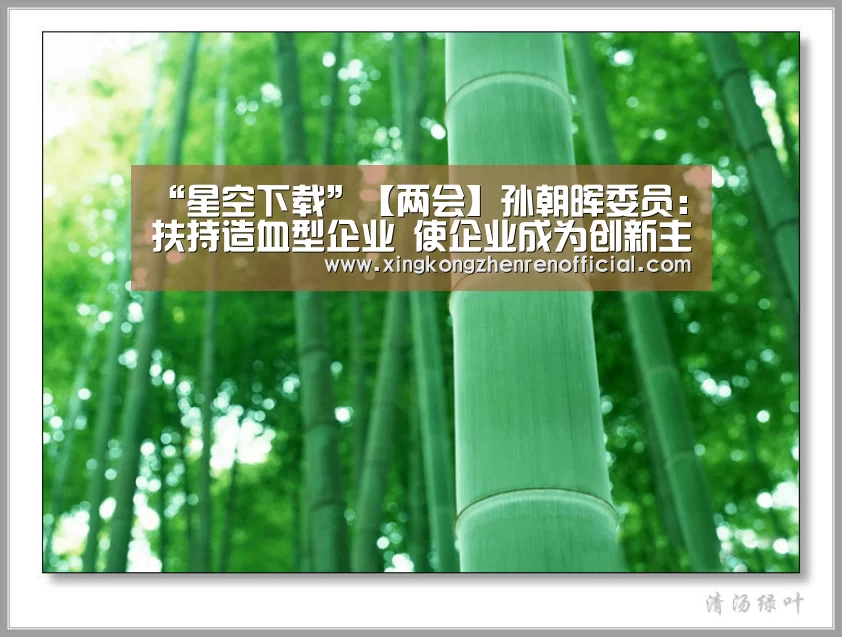 “星空下载”【两会】孙朝晖委员:扶持造血型企业 使企业成为创新主体(图1) 星空下载