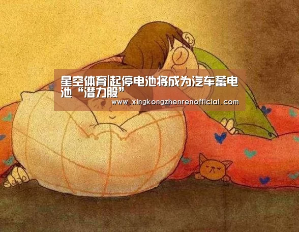 星空体育|起停电池将成为汽车蓄电池“潜力股”(图3) 星空真人